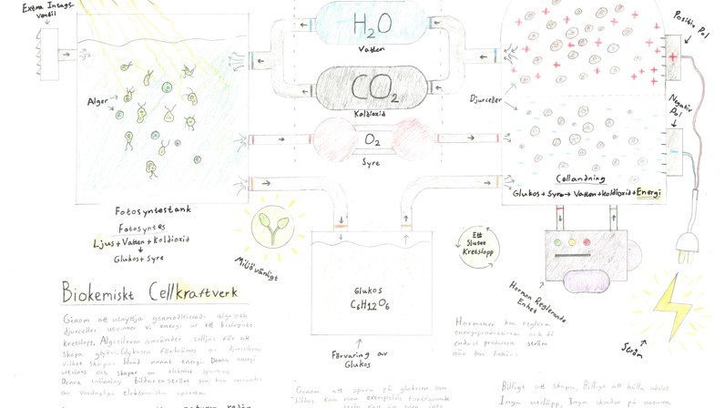 biokemiskt cellkraftverk original